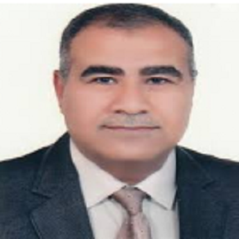 الأستاذ الدكتور علاء عبدالحسين الساعدي